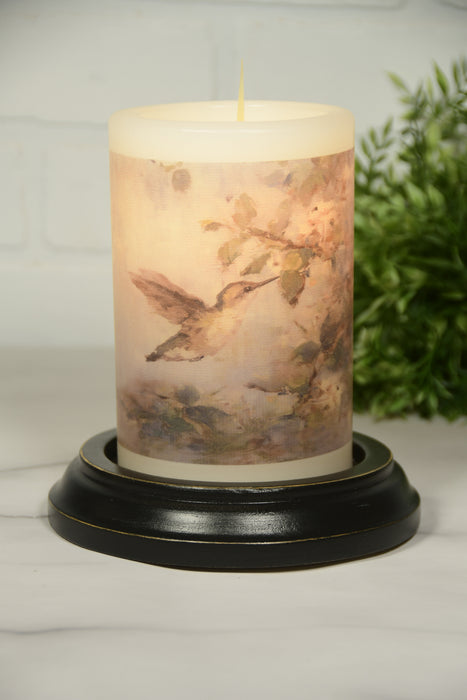 Hummingbird Garden