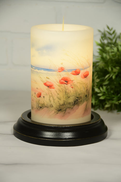 Poppies at Beach