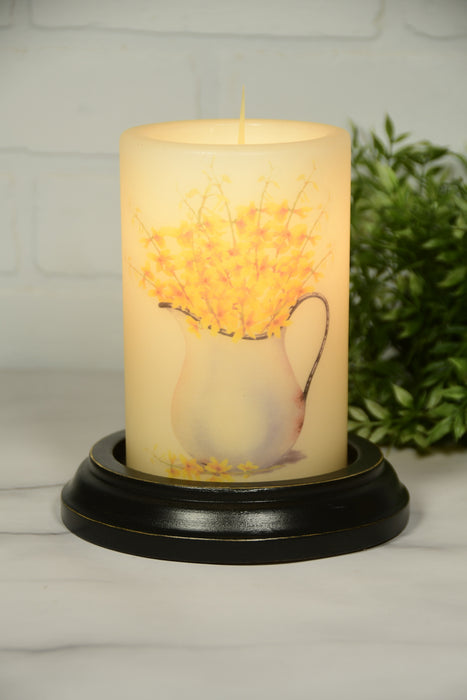 Rusty Pitcher Forsythia