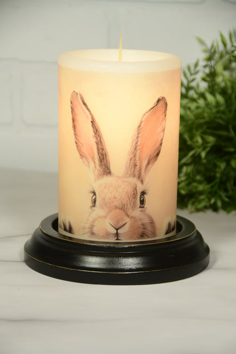 Shy Spring Bunny