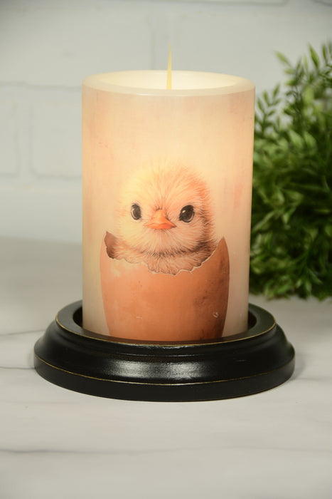 Shy Spring Chick