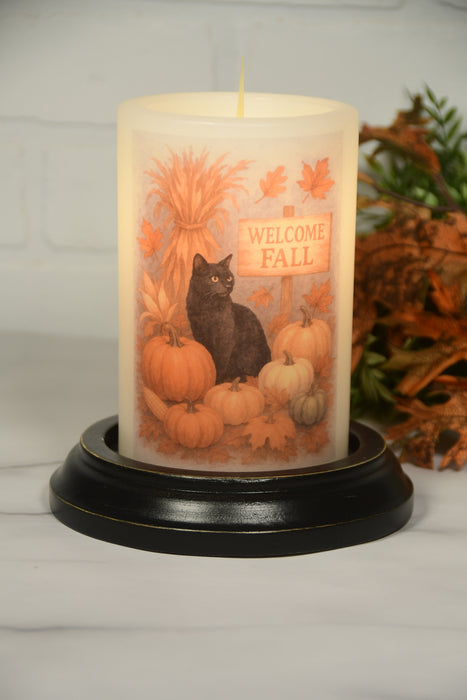 Autumn Welcome Cat