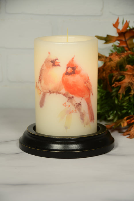 Fall Cardinal Pair