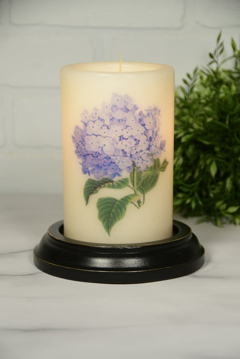 Purple Hydrangea